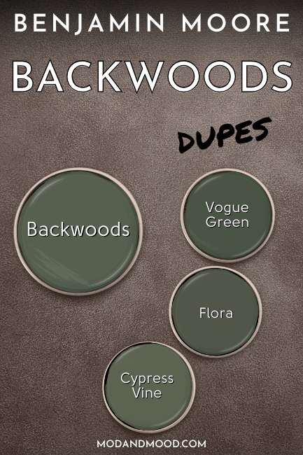 Swatches of Benjamin moore Backwoods dupes Vogue Green, Flora, and Cypress Vine, alongside Backwoods, all displayed on gold pans over a brown suede background.