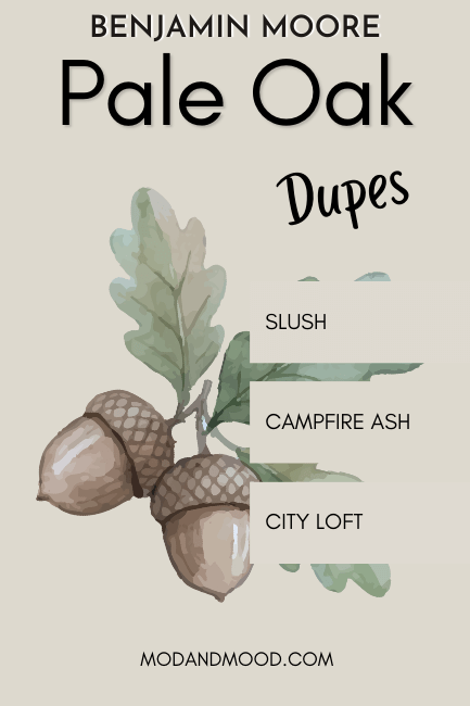 The best dupes from other brands: Slush, Campfire Ash, and City Loft swatched down the side of a graphic of oak leaves and acorns on a background of Pale Oak.