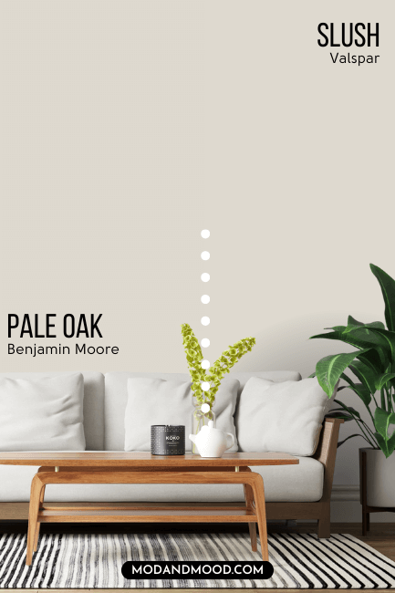 pale Oak dupe from Valspar - Slush - on half of a wall and Pale Oak on the other half behind a white sofa.