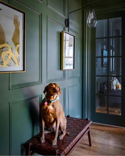 A dog sits on a bench with  a wall of woodwork painted in Benjamin Moore Backwoods in the background.