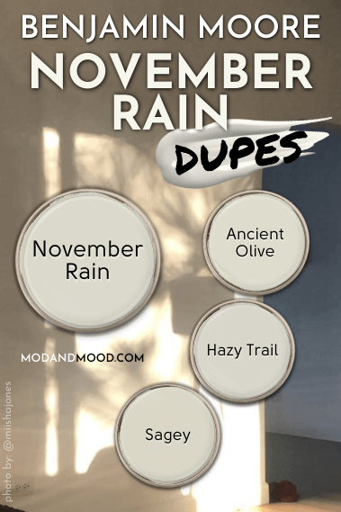 Dupes for Benjamin Moore November Rain: Ancient Olive, Hazy Trail, and Sagey, all swatched on paint lids over a background of November Rain.