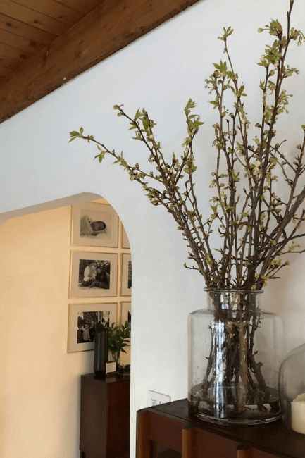 November rain where it looks more gray on the close wall and warm and sunny in the adjacent room