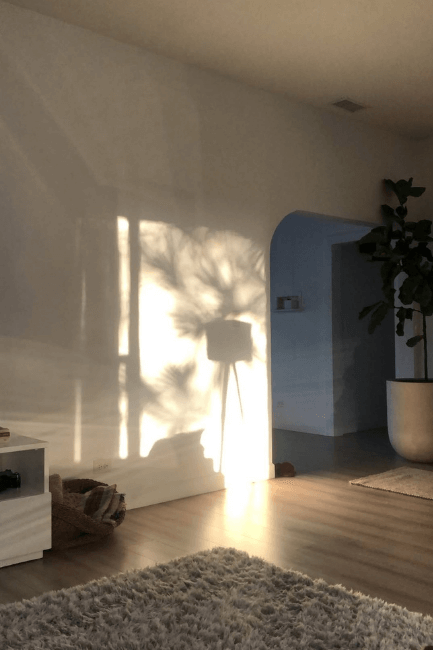 Benjamin Moore November Rain in a sunny room