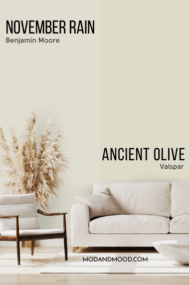 Benjamin Moore November Rain on half of a wall and Halo on the other half behind a light sofa and matching chair and a vase of pampas grass.