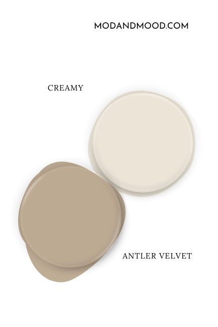 Paint dot swatch of Sherwin Williams Creamy beside the same of Sherwin Williams Antler Velvet.