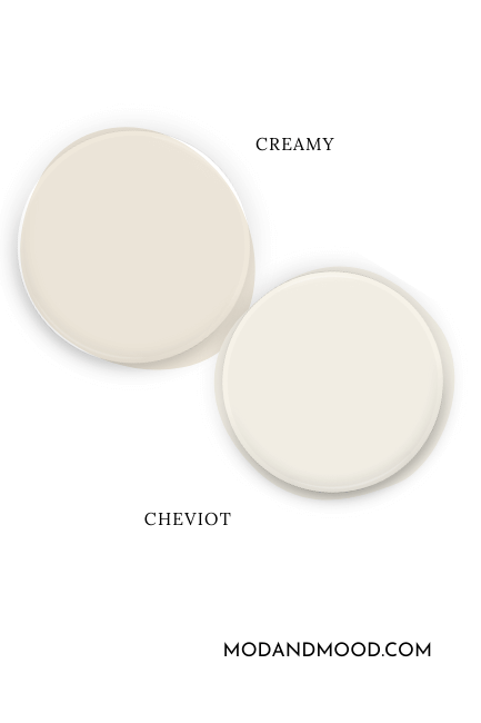 Paint dot swatch of Sherwin Williams Creamy beside the same of Sherwin Williams Cheviot.