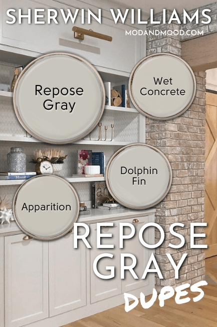 Swatch of Sherwin Williams Repose Gray alongside smaller swatches of dupes Wet concrete, Dolphin Fin, and Apparition, over a photo of the color on built in cabinetry in a living room.