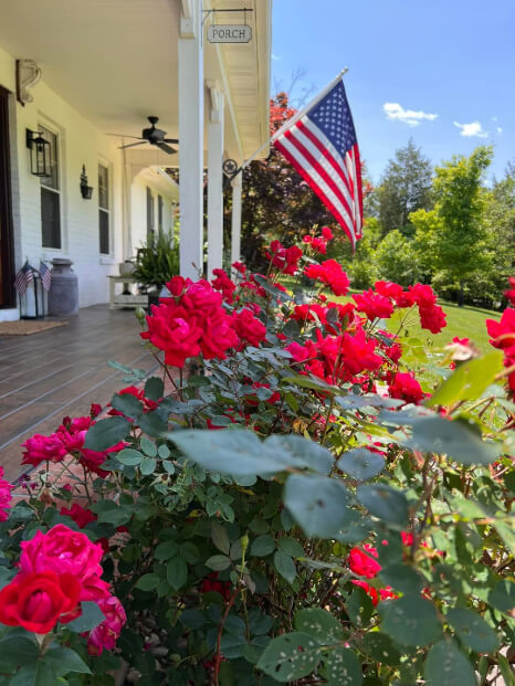 Dover White where it looks like Benjamin Moore November Rain on an exterior on a sunny day