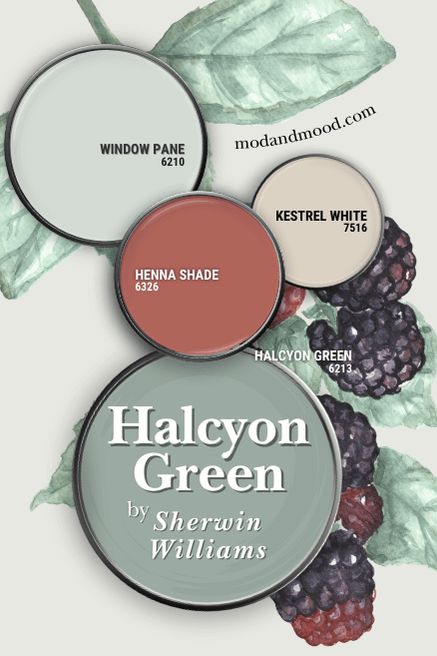 The Sherwin Williams recommended coordinating colors for Halcyon Green: Henna Shade, Kestrel White, and Window Pane, over a background of a blackberry painting.