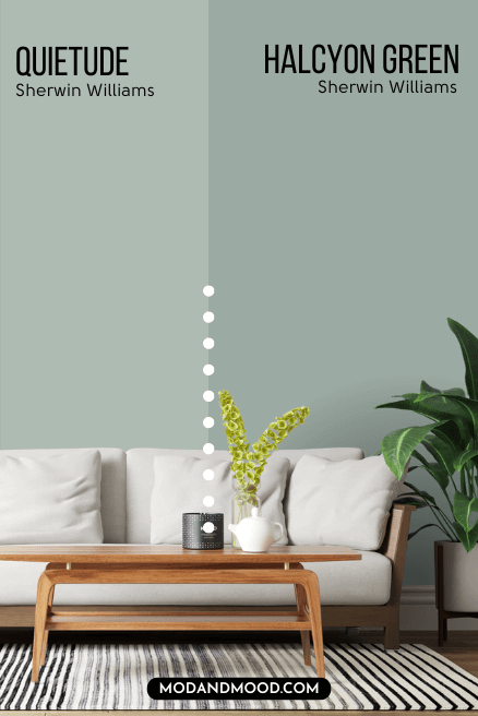 Sherwin williams Quietude on one half of a wall and Halcyon Green on the other half behind a white sofa and a plant.