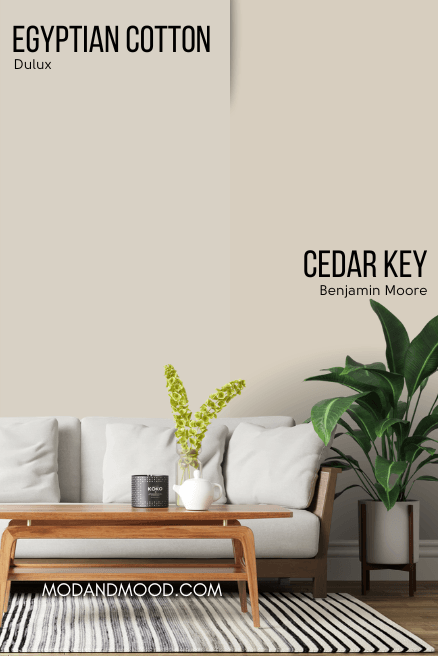 Benjamin Moore version of Egyptian Cotton (Cedar Key) alongside Egyptian Cotton on a wall behind a white sofa and potted plant.