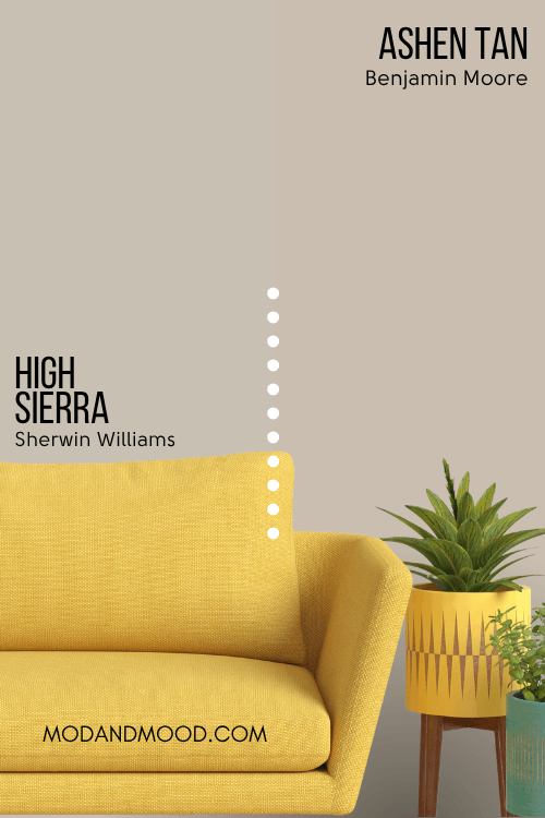 High Sierra swatched beside Benjamin Moore version Ashen Tan behind a mustard sofa.