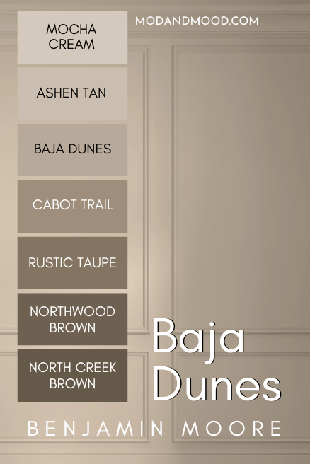 Benjamin Moore Baja Dunes color strip features colors from light to dark: Mocha Cream, Ashen Tan, Baja Dunes, Cabot trail, Rustic Taupe, Northwood brown, north creek brown, over a background of the color on a wall.
