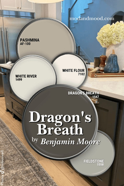 Benjamin Moore Dragon's breath in a color palette with coordinating colors Pashmina, White Flour, White River, and Fieldstone.