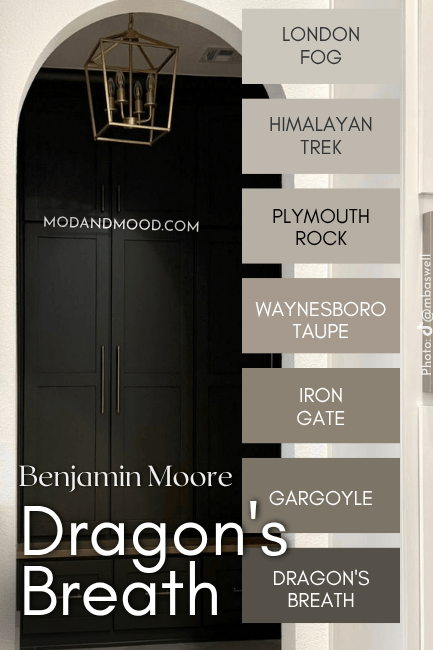 The color strip for Dragon's Breath from Benjamin Moore features light to dark shades: London Fog, Himalayan trek, Plymouth Rock, Waynesboro Taupe, Iron Gate, Gargoyle, and Dragon's Breath
Background photo is Dragon's Breath in a walk in pantry with an arched entrance.