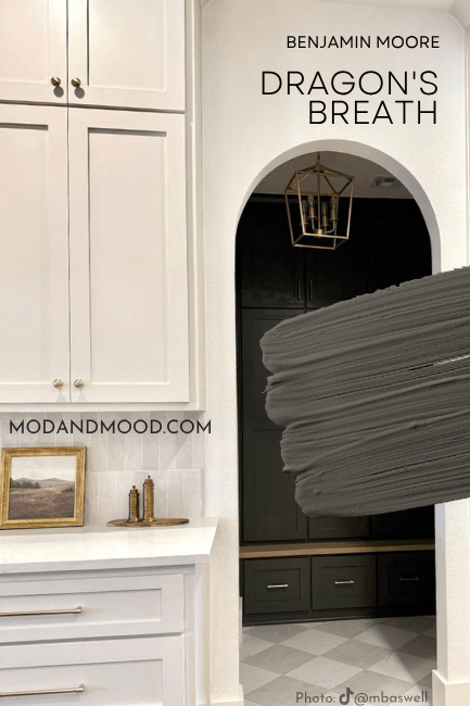 Swatch of Benjamin Moore Dragon's Breath over a photo of the color in a walk in pantry behind Pale Oak Kitchen cabinets