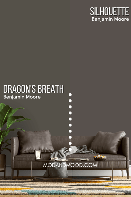 Benjamin Moore Silhouette vs Dragon's Breath compared with each on half of a wall.