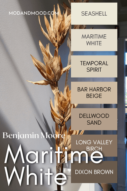 Benjamin Moore Maritime White color strip features colors from light to dark: Seashell, Maritime White, Temporal Spirit, Bar Harbor Beige, Dellwood Sand, Long Valley Birch, Dixon Brown.