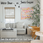 Benjamin Moore White Dove vs Swiss Coffee on living room walls