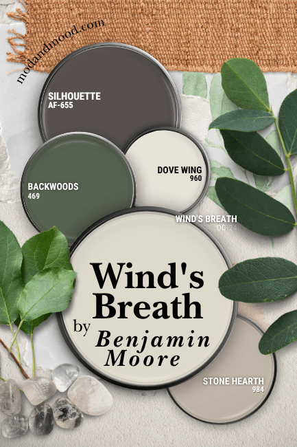 Benjamin Moore Wind's Breath on a color palette with Backwoods, Silhouette, Dove Wing, and Stone Hearth, over a neutral plant, stone, and paper background.