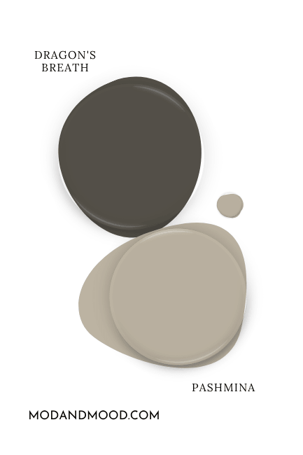 Paint dot of Benjamin Moore Dragon's Breath swatched beside the same of coordinating color Pashmina.
