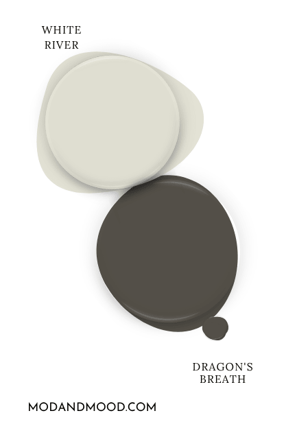 Paint dot of Benjamin Moore Dragon's Breath swatched beside the same of coordinating color White River.