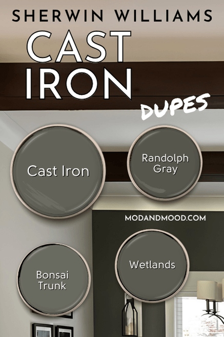 Sherwin Williams Cast Iron dupes swatched beside a paint dot of Cast Iron. Dupes are Randolph Gray, Wetlands, and Bonsai Trunk.