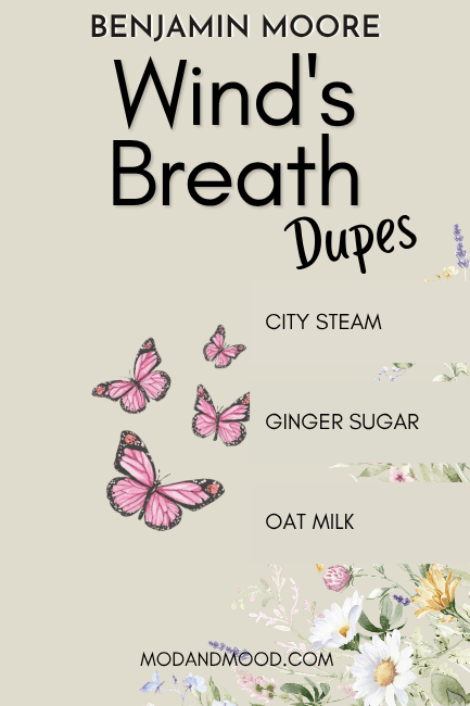 Benjamin Moore Wind's Breath with swatches over top of City Steam, Oat Milk, and Ginger Sugar.
