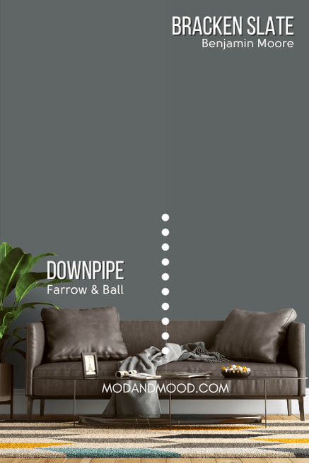 Benjamin Moore version of Downpipe Bracken Slate on half of a wall with the original color on the other half behind a brown leather sofa.