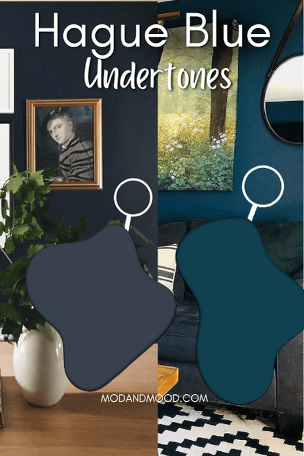 Graphic reads "Hague Blue undertones" over zoomed in swatches of the color's different undertones in real life