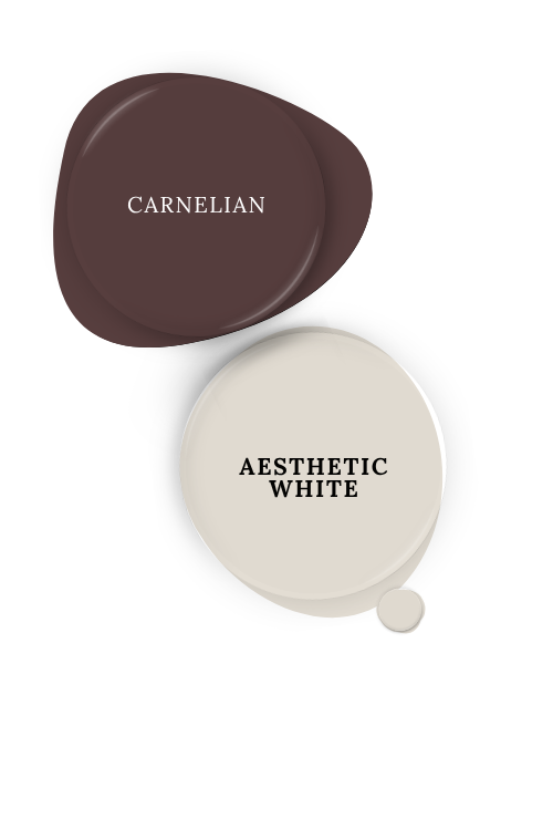 Sherwin Williams Aesthetic White swatched as a paint dot beside the same of coordinating color Carnelian