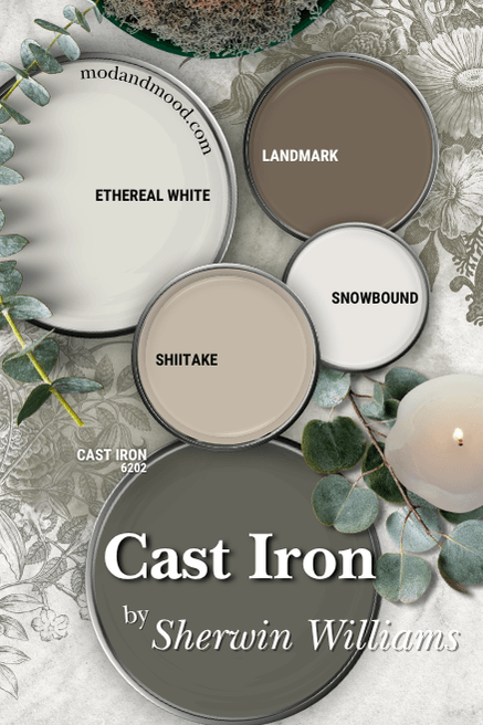 Sherwin Williams Cast Iron in a color palette with Ethereal White, Landmark, Shiitake, and Snowbound.