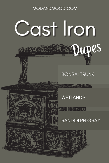 Sherwin Williams Cast Iron with swatches down the side of dupes Bonsai Trunk, Wetlands, and Randolph Gray