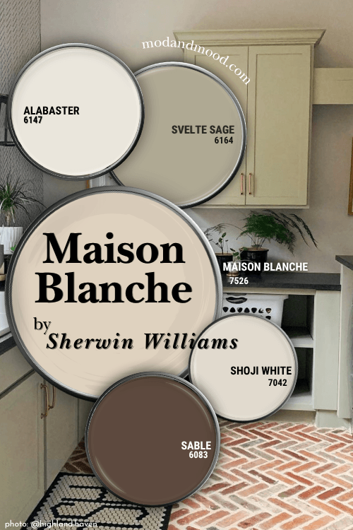 Sherwin Williams Maison Blanche in a color palette with coordinating colors Alabaster, Svelte Sage, Shoji White, and Sable over a background of Svelte Sage on kitchen cabinets and a brick floor.