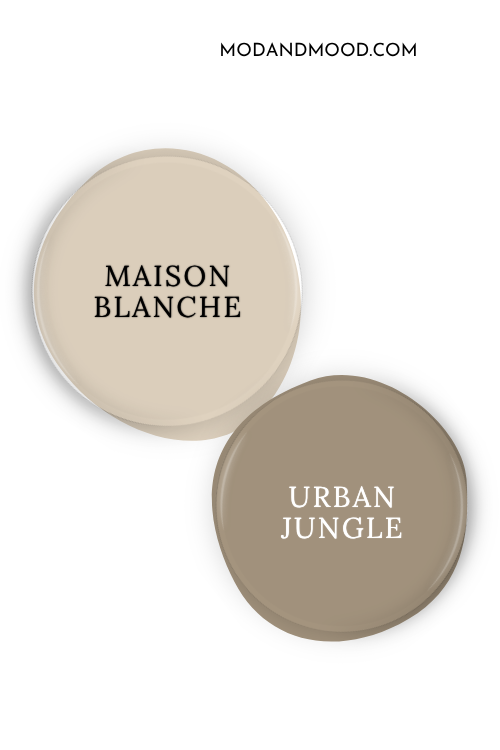Paint dot of Sherwin Williams Maison Blanche swatched beside the same of coordinating color Urban Jungle