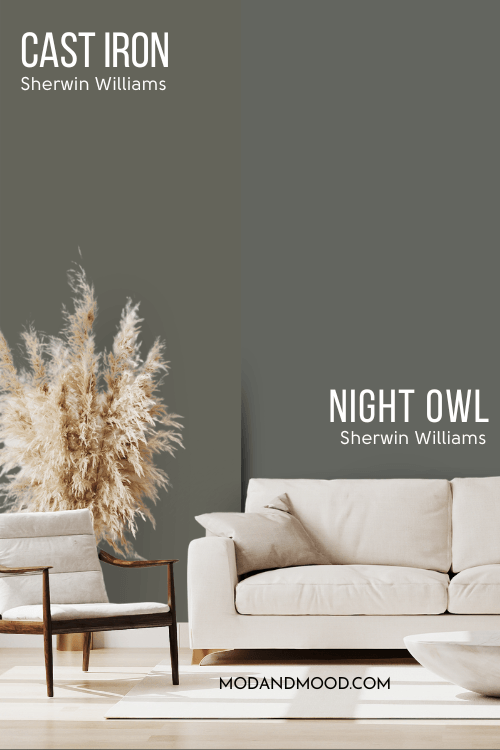 Sherwin Williams Cast Iron on half of a wall and Sherwin Williams Night owl on the other half behind a cream sofa and pampas grass