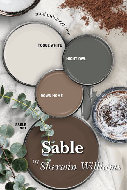 Sherwin Williams Sable color palette features Sable alongside coordinating colors toque White, Night Owl, Down Home over a marble countertop background with cooking scatter and greenery.