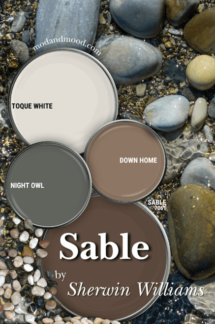 Sherwin Williams Sable color palette features Sable alongside coordinating colors toque White, Night Owl, Down Home over a background of rocks in a riverbed