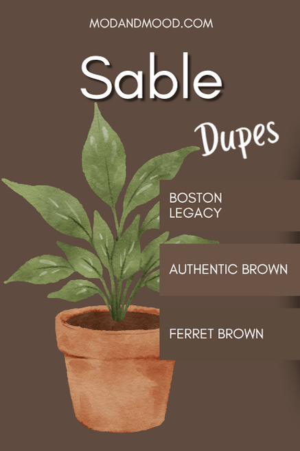 Graphic reads "Sable Dupes" with swatches down the side of Boston Legacy, Authentic Brown, and Ferret Brown over a potted plant.