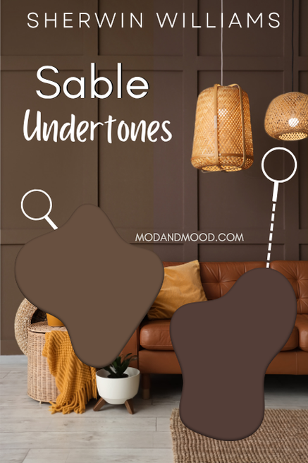 Sherwin Williams Sable undertones pointed out on a wall