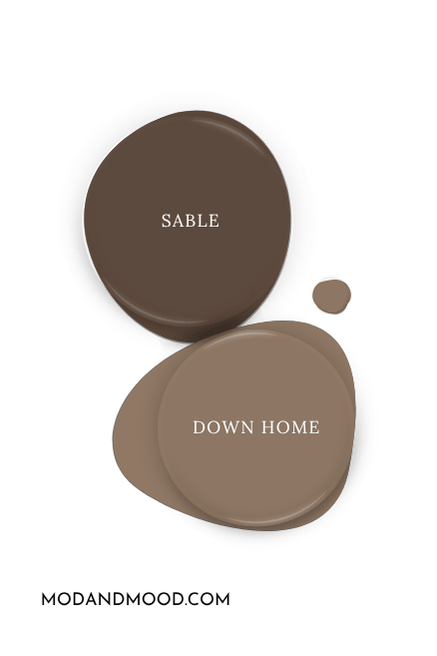 Sherwin Williams Sable swatched as a paint dot alongside the same of coordinating color Down Home.
