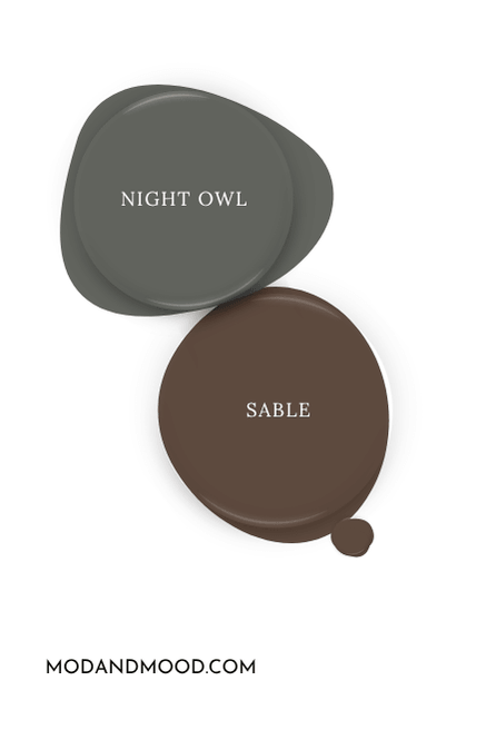 Sherwin Williams Sable swatched as a paint dot alongside the same of coordinating color Night Owl.