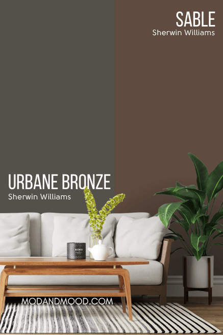 Sherwin Williams Urbane Bronze on half of a wall and Sable on the other half behind a white sofa