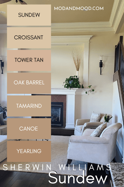 Sherwin Williams Sundew in a color strip featuring shades from light to dark:
Sundew, Croissant, Tower Tan, Oak Barrel, Tamarind, Canoe, and Yearling over a background of the color on a ceiling in a living room with creamy white walls.