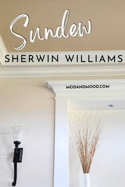 Sherwin Williams Sundew on a ceiling in a living room