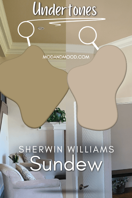 Sherwin Williams Sundew on the ceiling with pieces magnified to show the brown undertone and the more pink beige undertone.