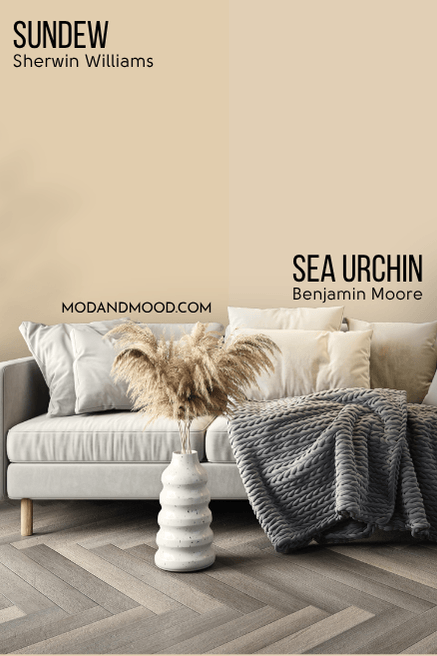 Benjamin Moore Sea Urchin compared to Sundew on a wall behind a light gray sofa.