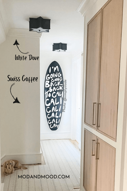 Swiss Coffee on walls and White Dove on trim in a hallway with a surfboard on the wall at the end and a pup in the foreground.