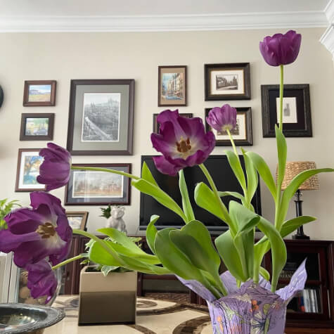 Edgecomb Gray on gallery walls in a living room where it has a subtle pink undertone