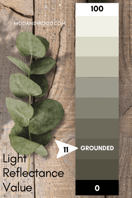 Behr Grounded mark at 11 on an LRV chart from 0 to 100 with light to dark shades of grounded in between, over a wood background.